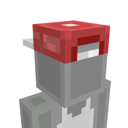 Backwards Hat on the Minecraft Marketplace by ChewMingo