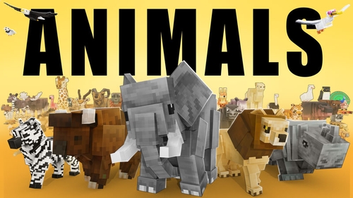 Animals