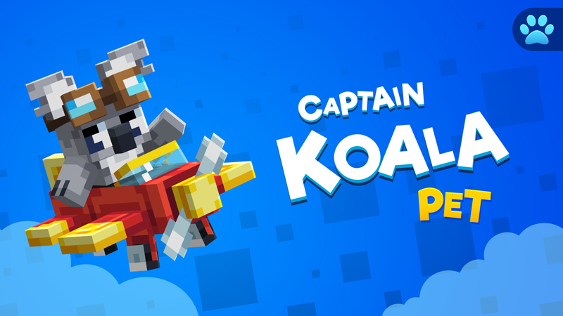 Captain Koala Pet