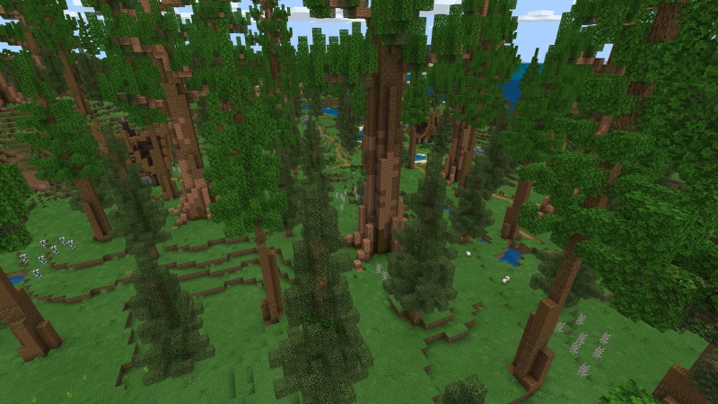 Redwood Adventure Redwood Adventure by Fall Studios