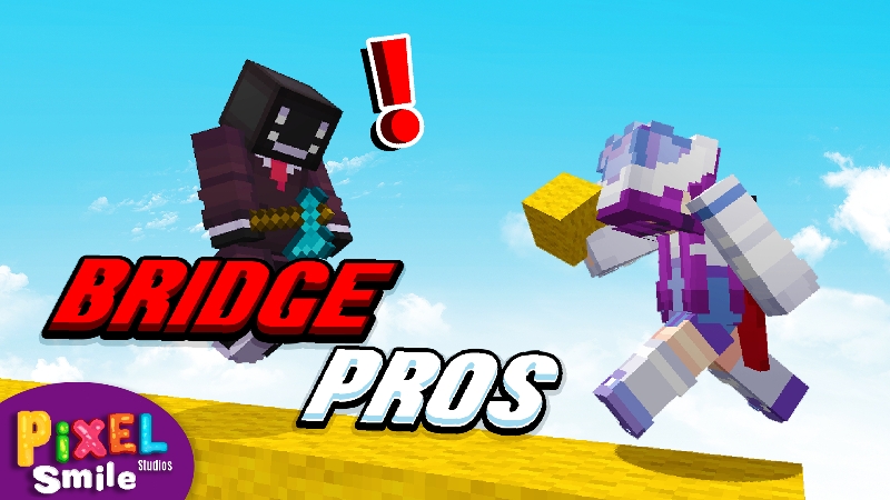 Bridge Pros Key Art