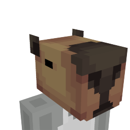 Capybara Head