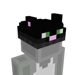 Cat Beanie on the Minecraft Marketplace by DigiPort