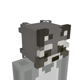 Raccoon Head