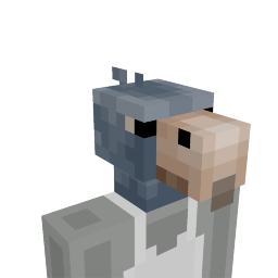 Shoebill Stork Head