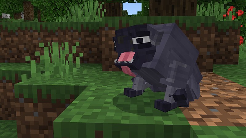 WACKY ANIMALS Screenshot #2