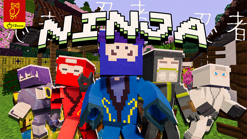 Ninja on the Minecraft Marketplace by DeliSoft Studios