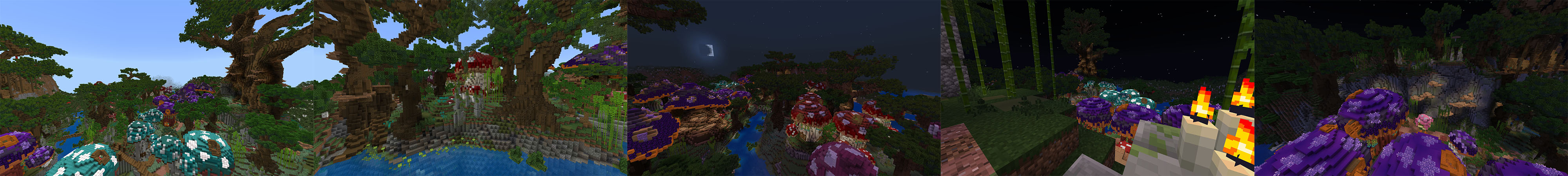 Mushroom Forest Panorama