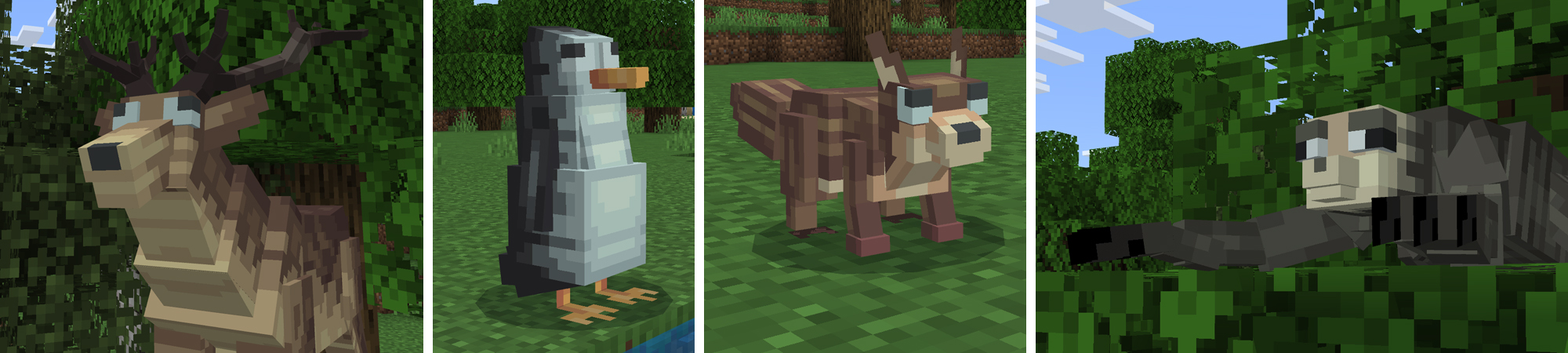 WACKY ANIMALS Panorama