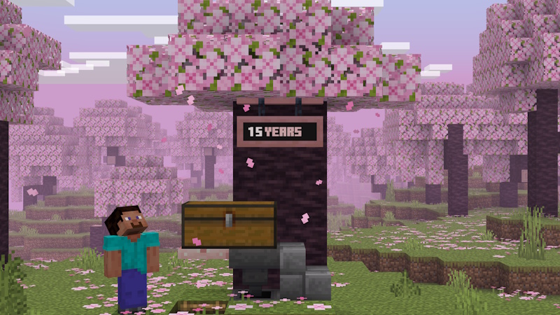 Time Capsule Add-On Screenshot #1