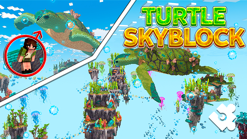 Turtle Skyblock Key Art