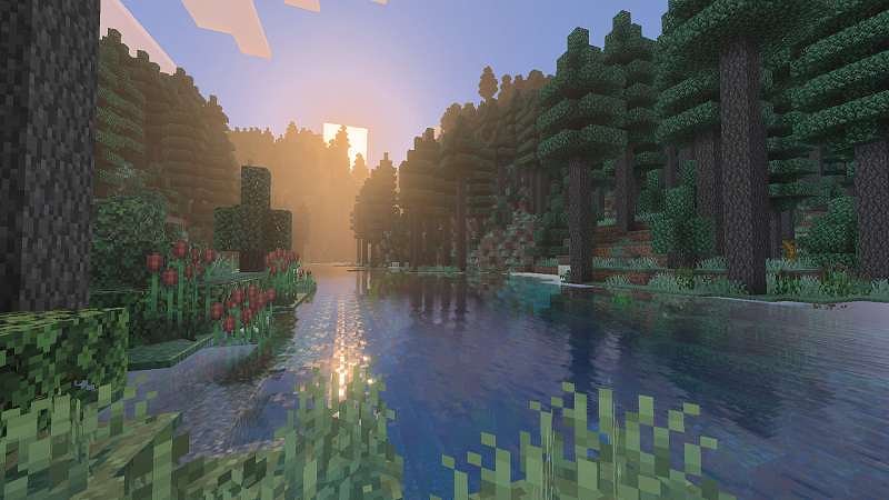 Biomes & Beyond Biomes & Beyond by Waypoint Studios