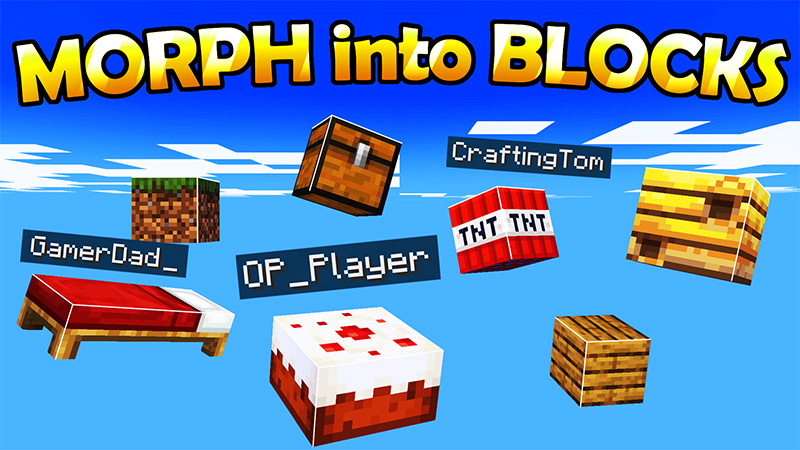 Morph Into Blocks Key Art