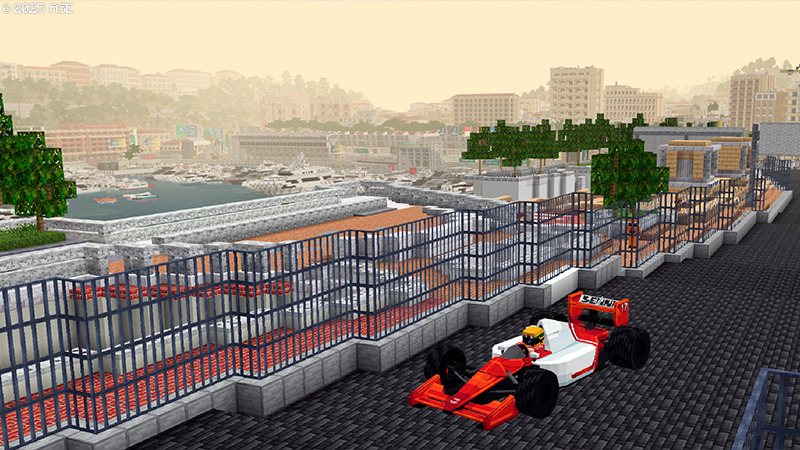 Senna World Senna World by Floruit