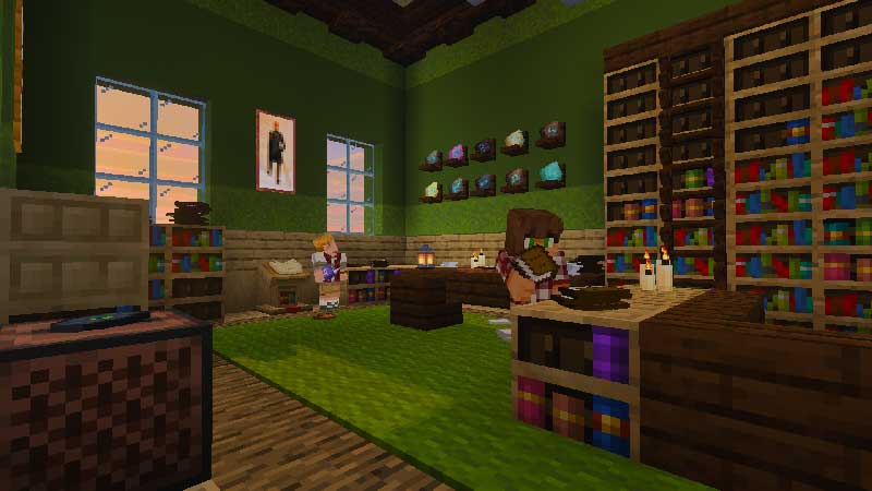 Display Stuff Add-On Display Stuff Add-On by Blockception