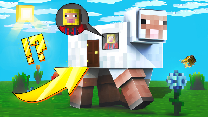 How to Live inside a Sheep?