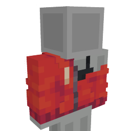 Hoodie with Top