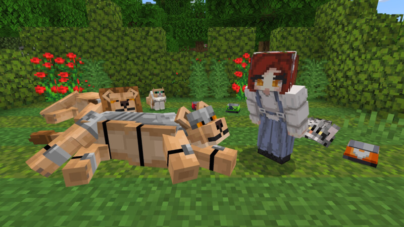 Basic Cats Add-On (1.0) Basic Cats Add-On (1.0) by CrackedCubes