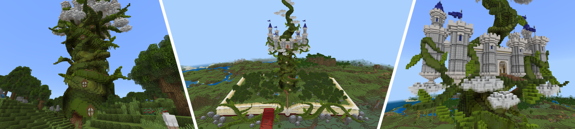 Magic Plant Panorama