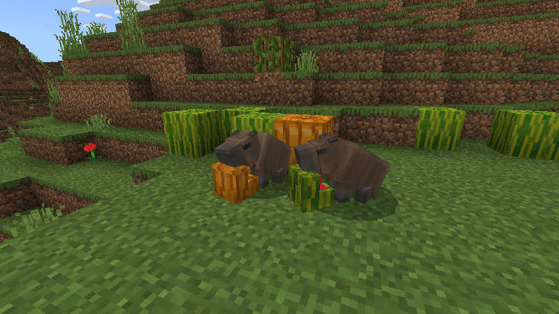 Capybaras+ Screenshot #3