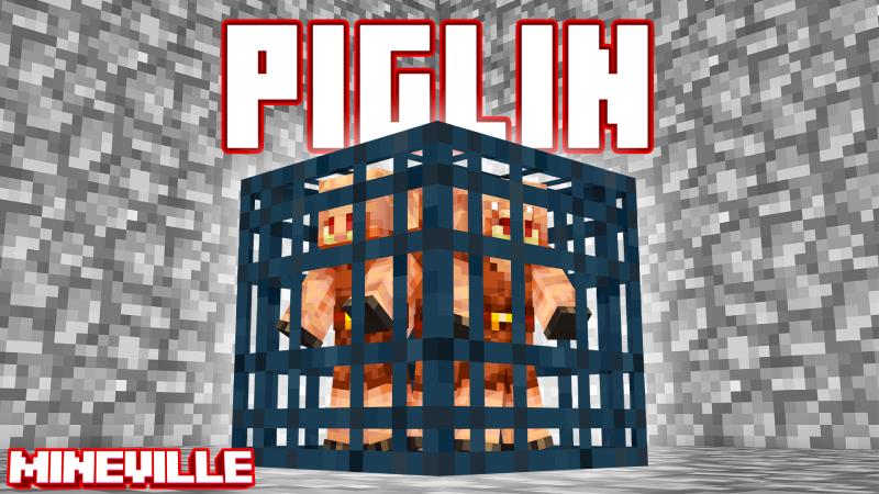 [MegaSMP] Piglin Spawner