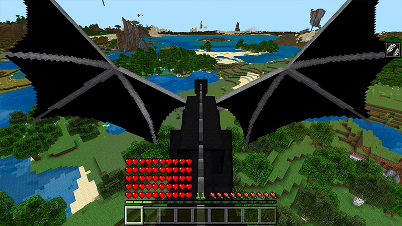 ENDER DRAGON Screenshot #1