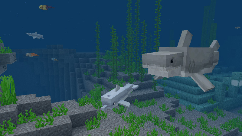 Aquatic Life Add-On Aquatic Life Add-On by Pathway Studios