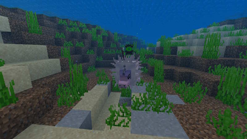 Enchanted Encounters Screenshot #7