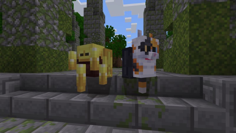 Storage+ Add-On Screenshot #7