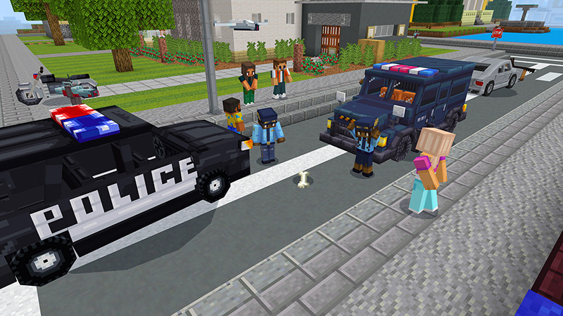 Police Screenshot #2