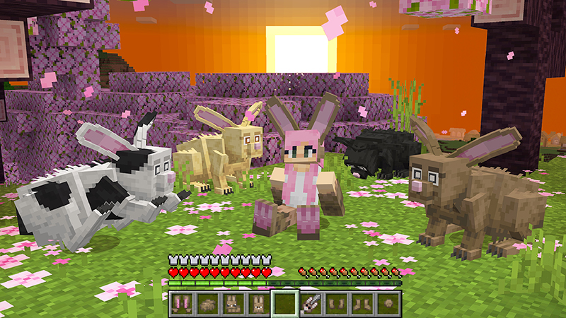 Fur Craft Add-On Screenshot #6