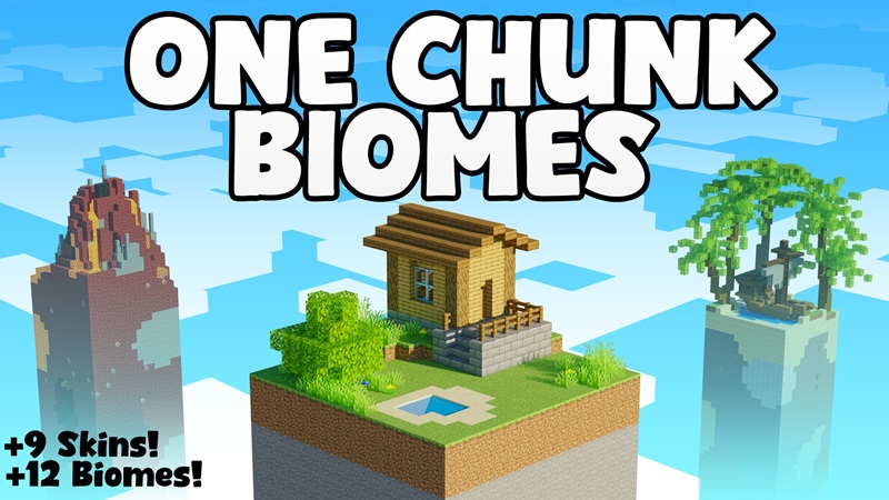 One Chunk Biomes