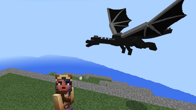 Mini Ender Dragon Pet Screenshot #1