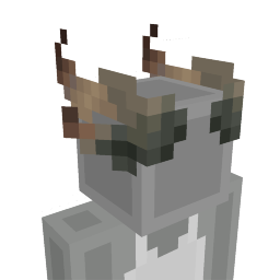 Horns