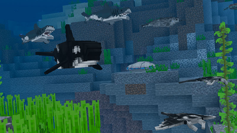 ANIMALS Add-On Screenshot #6
