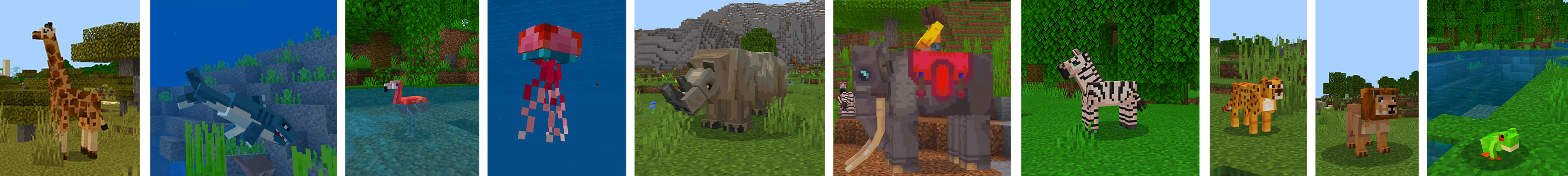 More Animals panorama