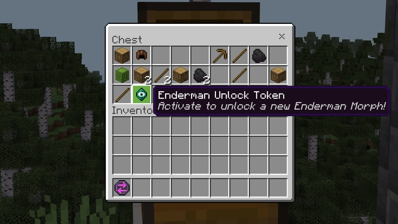Be An Enderman by Cubed Creations