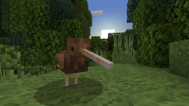Aotearoa New Zealand Screenshot #4