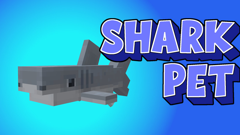 Shark Pet Key Art