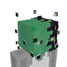Hacker Head