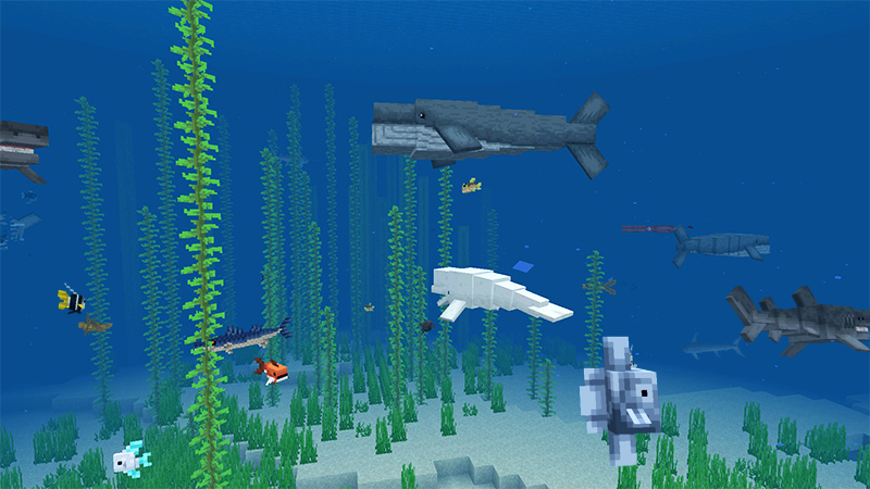 Ocean Expansion Add-On 3.0 screenshot 5