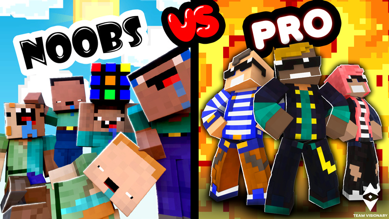 Noobs VS Pro Key Art