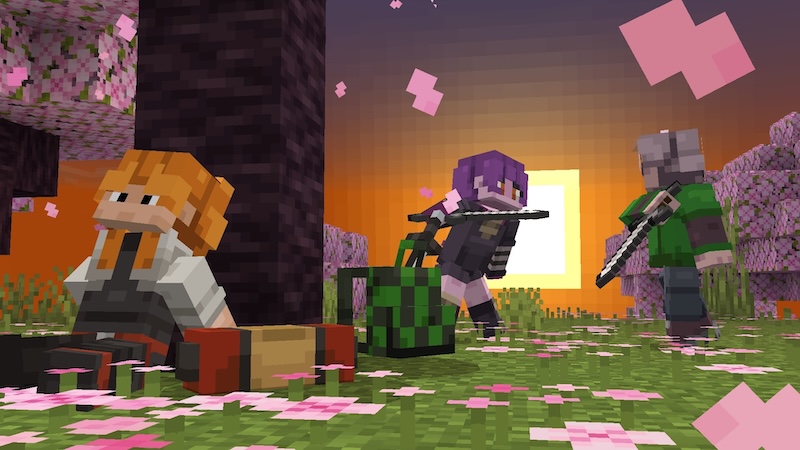 Backpack Add-On Screenshot #3