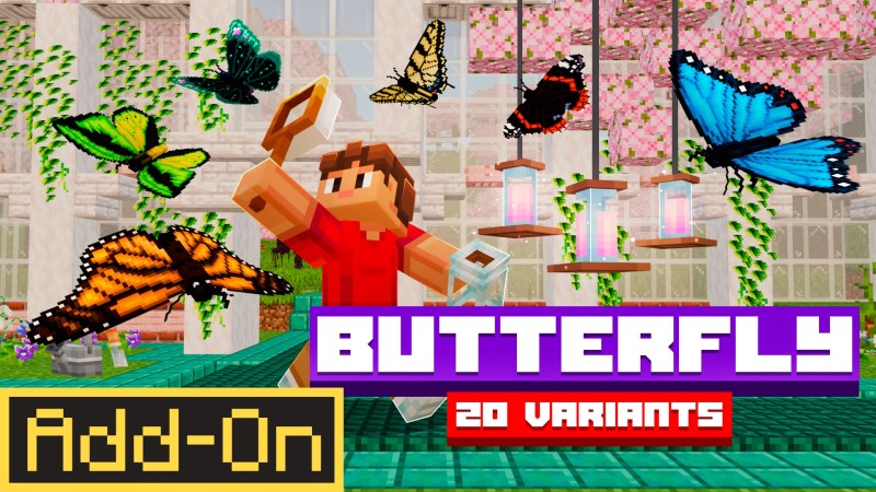 BUTTERFLY Add-On