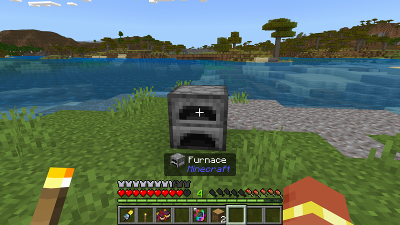 ESSENTIALS SMP! ADD-ON Screenshot #1