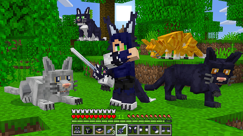Fur Craft Add-On Screenshot #10