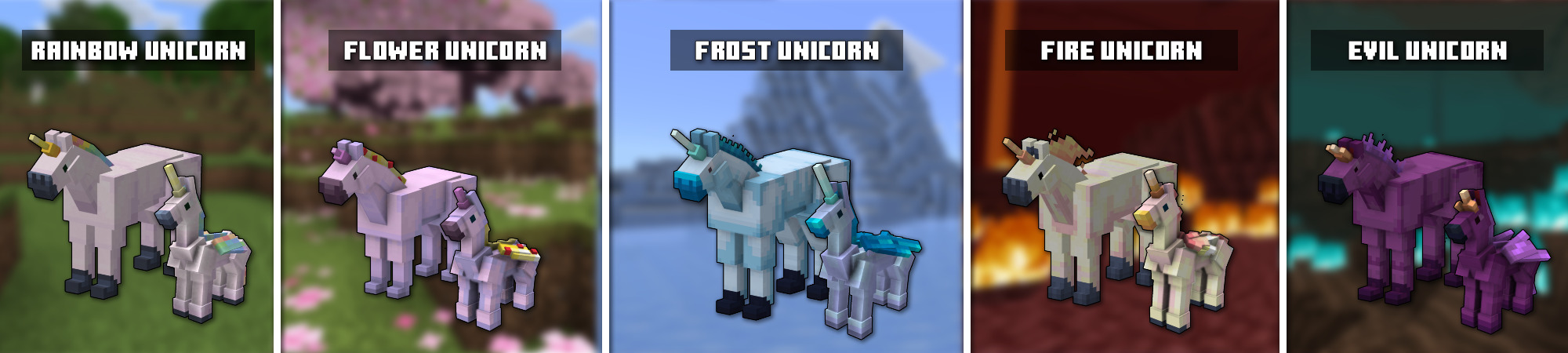 Unicorns Panorama