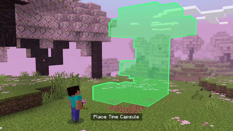 Time Capsule Add-On Screenshot #3