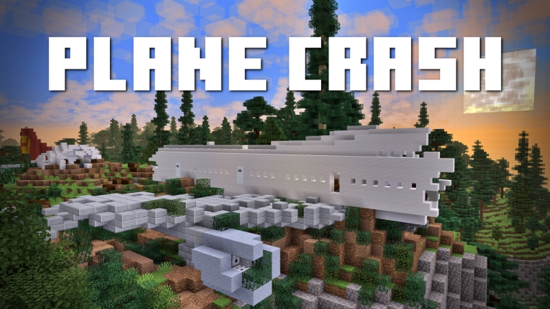 Plane Crash