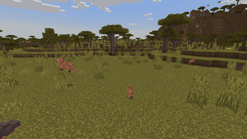 Cute Pets Screenshot #8